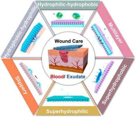 Hydrogel ยุคใหม่: สุดยอดวัสดุไบโอสำหรับการปลูกถ่ายอวัยวะและจัดการแผล!